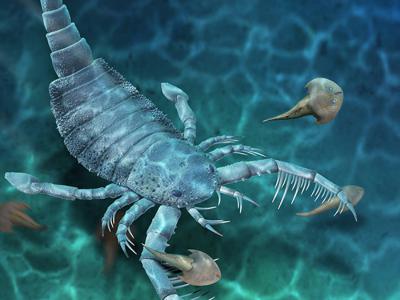 《科学通报》：中国首次发现4.3亿年前盔甲鱼的恐怖噩梦——恐鲎
