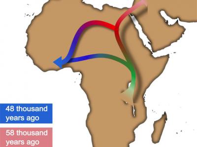 新研究认为在非洲以外的扩张之前 人类有一个从东非到西非的重大流动