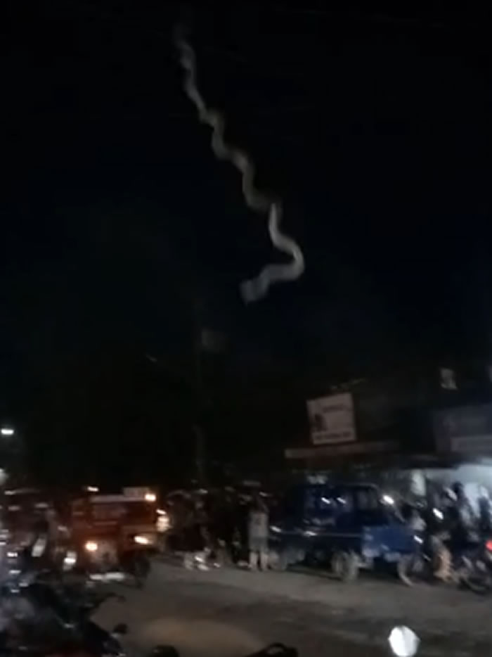 菲律宾薄荷岛塔比拉兰市闹市区一条巨蛇盘踞在电线上