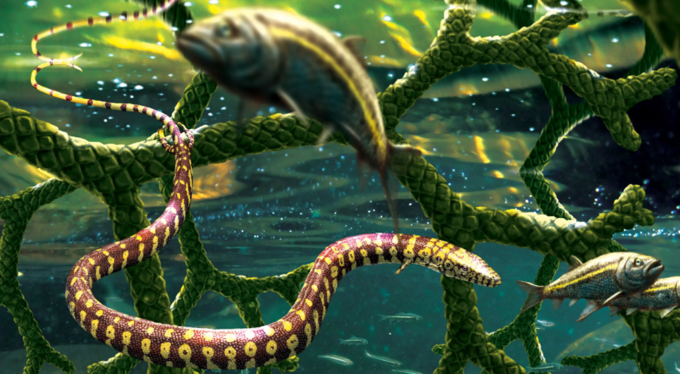 《系统古生物学杂志》：巴西1.1亿年前的“四足蛇”化石实际上是一种海洋蜥蜴