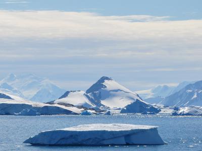 南极洲冰架下发现新的生命