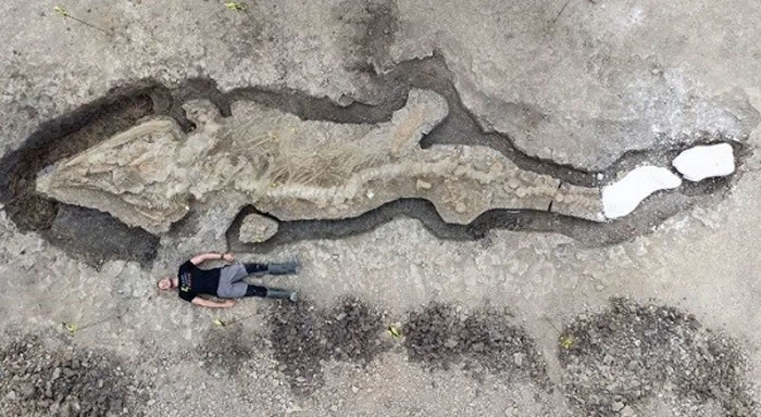 英国中部地区发现境内最大最完整鱼龙化石 仅头骨就重达一吨