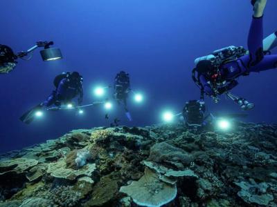 南太平洋中部的塔希提岛附近海域发现目前全球最大的珊瑚礁