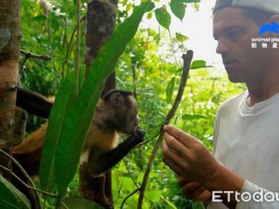 动物星球频道《野生法兰克》冒险家Frank Cuesta独自穿越亚马逊雨林