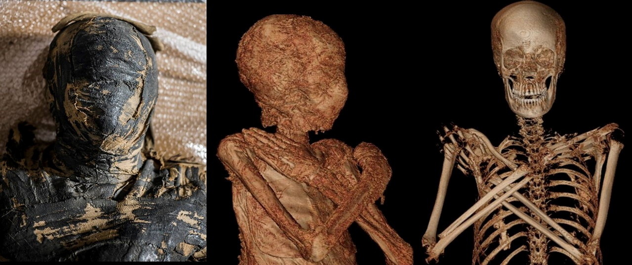 史上首具怀孕木乃伊“神秘女士”死因仍是一个谜
