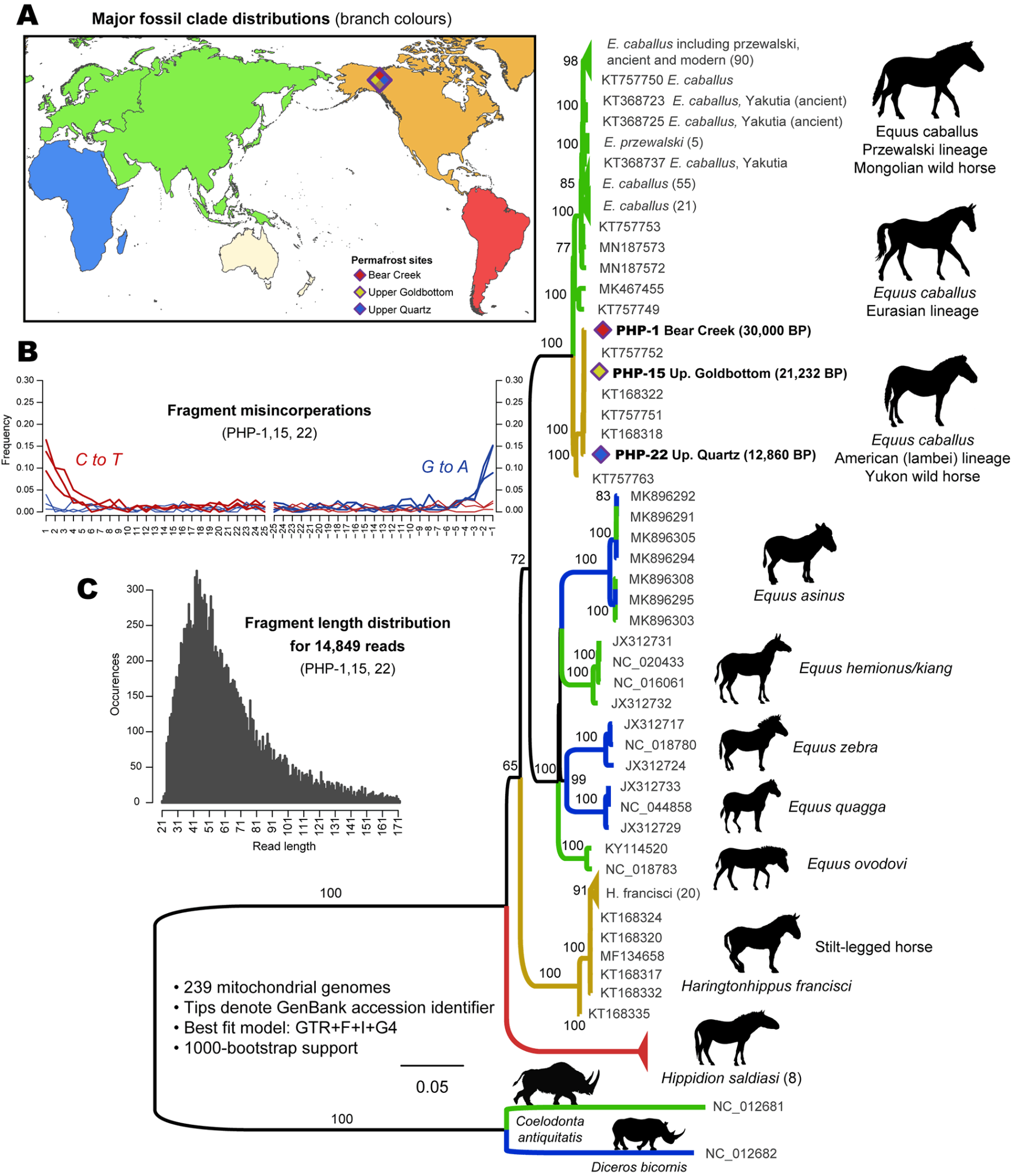 古代DNA研究表明猛犸象在地球存活的时间比想象的更晚