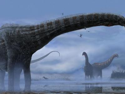 《科学报告》：一头年幼梁龙的化石残骸或成为恐龙呼吸道感染的第一个证据