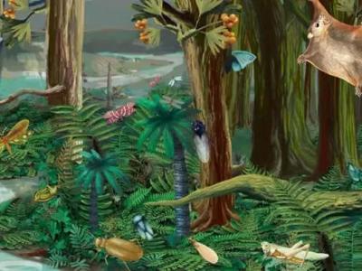 内蒙古宁城道虎沟化石群中发现侏罗纪恐龙时代的“花骨朵”——“侏罗花蕾”