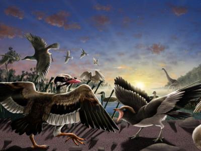 中国长城附近发现“惊人”的1.2亿年前恐龙时代新鸟类化石