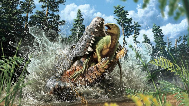 这条9300万年前的鳄鱼化石胃里有幼年恐龙残骸