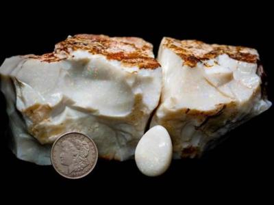 世界上最大的蛋白石“美国澳大利亚”在美国阿拉斯加拍卖会以约14.4万美元成交