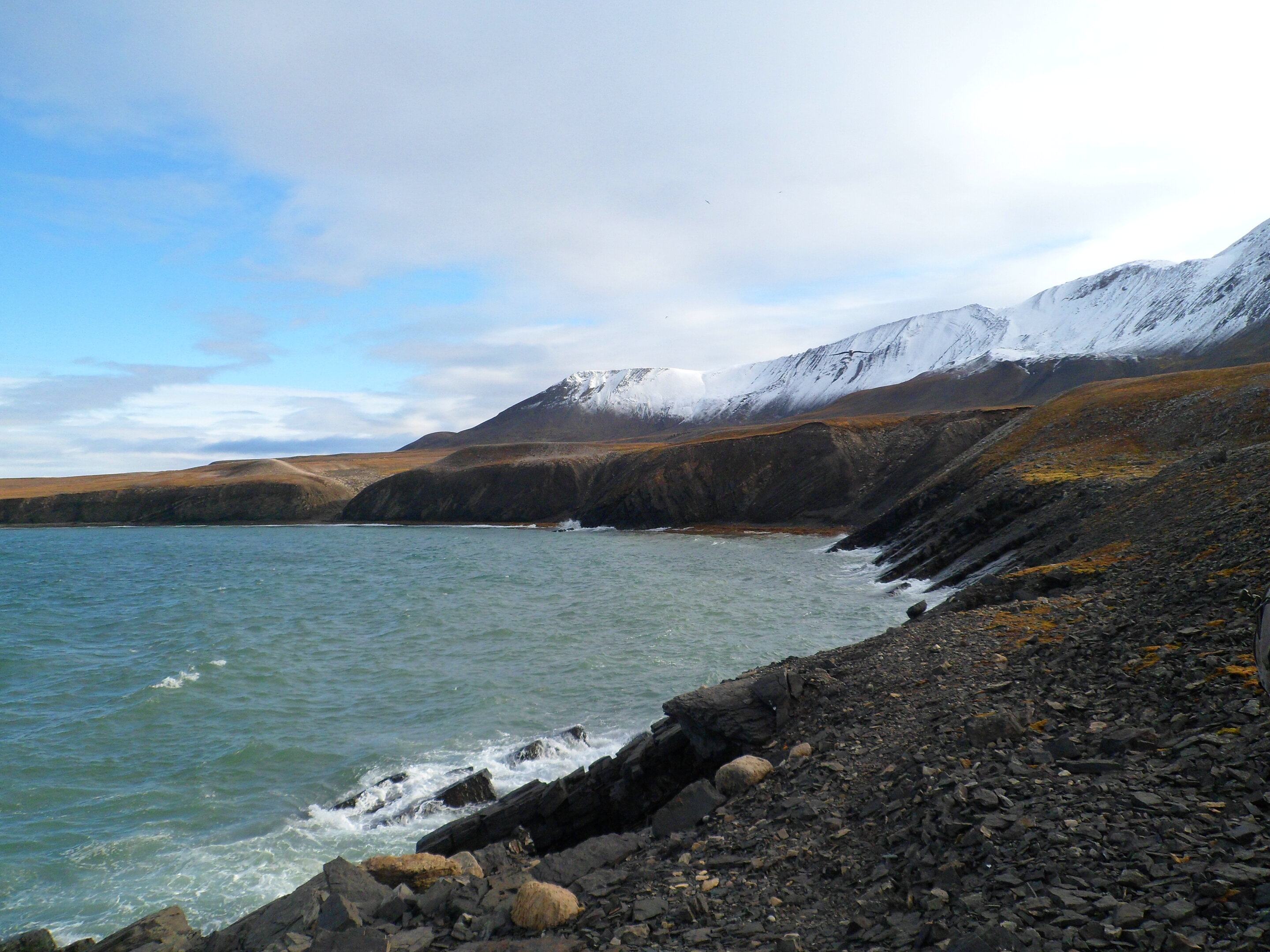 挪威斯瓦尔巴群岛的海岸线暴露了二叠纪-三叠纪岩石，这里有大灭绝的记录。(Credit: W.J.Foster)