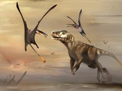 英国苏格兰西北海岸斯凯岛发现侏罗纪时期最大翼龙Dearc sgiathanach