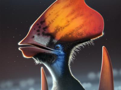 Tupandactylus imperator研究揭示：翼龙能够使用黑色素来控制其羽毛的颜色