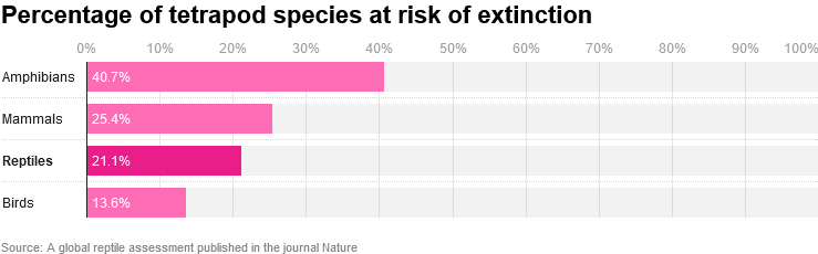 世界上超过五分之一的爬行动物物种面临灭绝的威胁