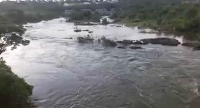 津巴布韦13岁少女在河中洗澡时被鳄鱼拖入水中活吞