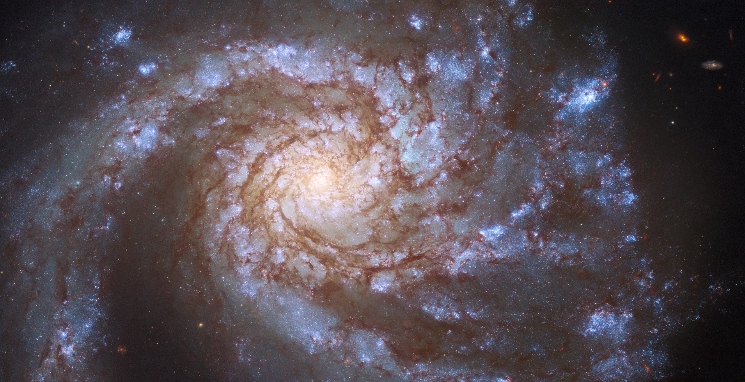 哈勃太空望远镜拍摄的后发座“大设计”螺旋星系M99