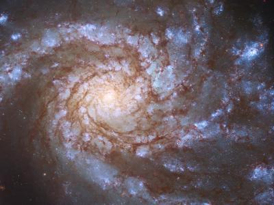 哈勃太空望远镜拍摄的后发座“大设计”螺旋星系M99
