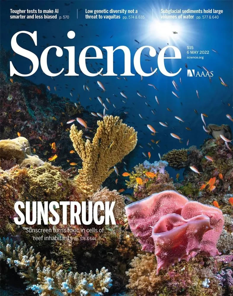 防晒霜中的氧苯酮被转化为光毒素 对脆弱的珊瑚礁造成威胁