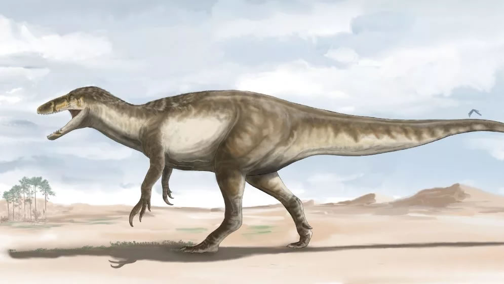 阿根廷发现白垩纪顶级掠食者恐龙化石 以体型较小的恐龙为食