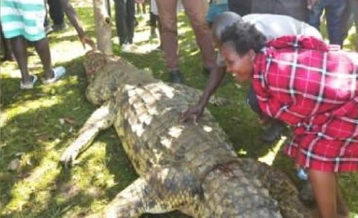 肯尼亚3岁男童到河边取水被叼走 村民逮捕到5公尺巨鳄用斧头砍死