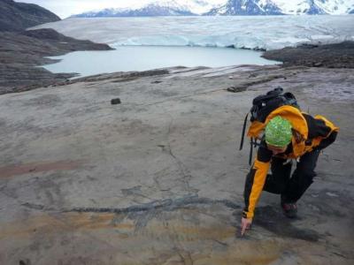 智利麦哲伦大学科学家在南部廷德尔冰川发现含完整胚胎的鱼龙化石Fiona