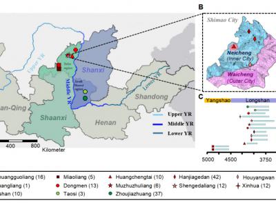 古基因组揭示中国陕北地区新石器时代石峁文化有关人群母系遗传结构