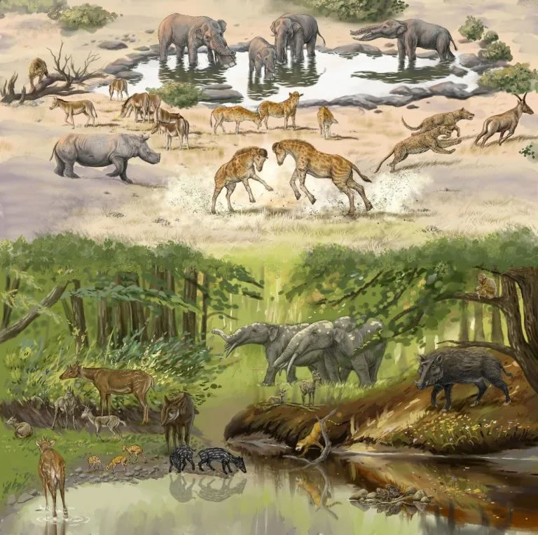 奇怪化石揭示长颈鹿进化的关键驱动力