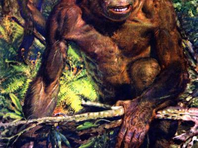 80万年前人类吃得更好吗？
