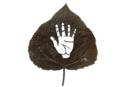 来自西班牙艺术家的创意树叶剪纸(4)
